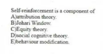 Self-reinforcement is a component of
A)attribution theory.
B)Johari Window.
C)Equity theory.
D)social cognitive theory.
E)behaviour modification.