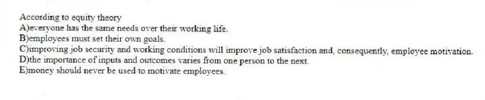 According to equity theory
A)everyone has the same needs over their working life.
B)employees must set their own goals.
C)improving job security and working conditions will improve job satisfaction and, consequently, employee motivation.
D)the importance of inputs and outcomes varies from one person to the next.
E)money should never be used to motivate employees.