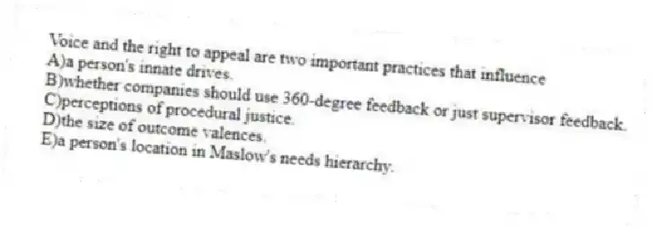Voice and the right to appeal are two important practices that influence
A)a person's innate drives.
B)whether companies should use 360-degree feedback or just supervisor feedback.
C)perceptions of procedural justice.
D)the size of outcome valences.
E)a person's location in Maslow's needs hierarchy.