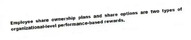 Employee share ownership plans and share options are two types of organizational-level performance-based rewards.