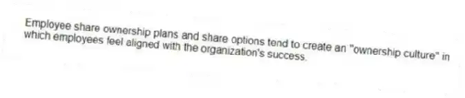 Employee share ownership plans and share options tend to create an ''ownership culture'' in which employees feel aligned with the organization's success.