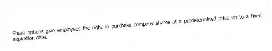Share options give employees the right to purchase company shares at a predetermined price up to a fixed expiration date.