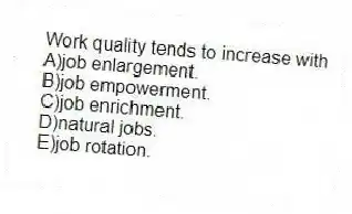 Work quality tends to increase with
A)job enlargement.
B)job empowerment.
C)job enrichment.
D)natural jobs.
E)job rotation.
