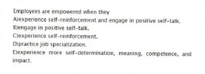 Employees are empowered when they
A)experience self-reinforcement and engage in positive self-talk.
B)engage in positive self-talk.
C)experience self-reinforcement.
D)practice job specialization.
E)experience more self-determination, meaning, competence, and impact.