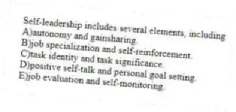 Self-leadership includes several elements, including
A)autonomy and gainsharing.
B)job specialization and self-reinforcement.
C)task identity and task significance.
D)positive self-talk and personal goal setting.
E)job evaluation and self-monitoring.