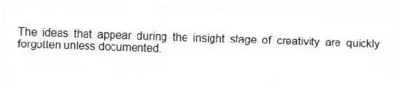 The ideas that appear during the insight stage of creativity are quickly forgotten unless documented.