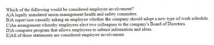 Which of the following would be considered employee involvement?
A)A legally mandated union-management health and safety committee.
B)A supervisor casually asking an employee whether the company should adopt a new type of work schedule.
C)An arrangement whereby employees elect two colleagues to the company's Board of Directors.
D)A computer program that allows employees to submit information and ideas.
E)All of these statements are considered employee involvement.