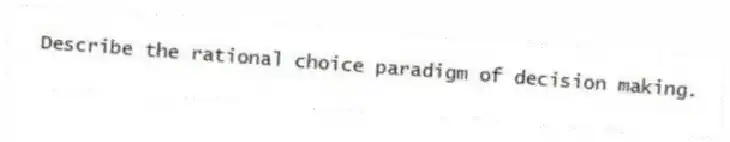 Describe the rational choice paradigm of decision making.