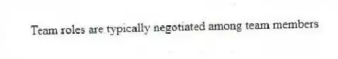 Team roles are typically negotiated among team members