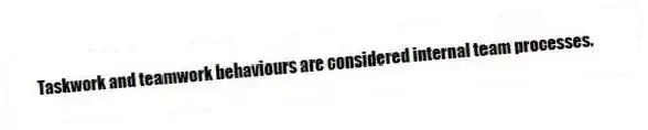 Taskwork and teamwork behaviours are considered internal team processes.