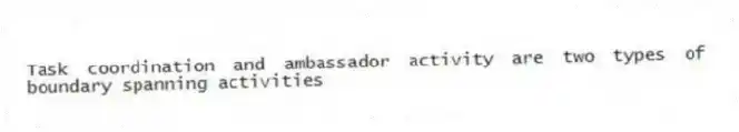 Task coordination and ambassador activity are two types of boundary spanning activities