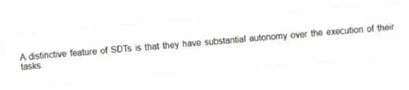 A distinctive feature of SDTs is that they have substantial autonomy over the execution of their tasks.