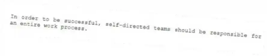 In order to be successful, self-directed teams should be responsible for an entire work process.