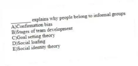 ________ explains why people belong to informal groups
A)Confirmation bias
B)Stages of team development
C)Goal setting theory
D)Social loafing
E)Social identity theory