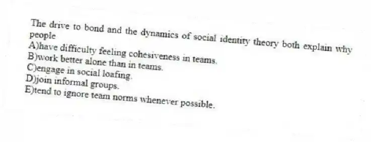 The drive to bond and the dynamics of social identity theory both explain why people
A)have difficulty feeling cohesiveness in teams.
B)work better alone than in teams.
C)engage in social loafing.
D)join informal groups.
E)tend to ignore team norms whenever possible.