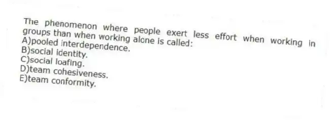 The phenomenon where people exert less effort when working in groups than when working alone is called:
A)pooled interdependence.
B)social identity.
C)social loafing.
D)team cohesiveness.
E)team conformity.