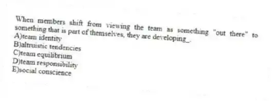 When members shift from viewing the team as something "out there" to something that is part of themselves, they are developing_.
A)team identity
B)altruistic tendencies
C)team equilibrium
D)team responsibility
E)social conscience