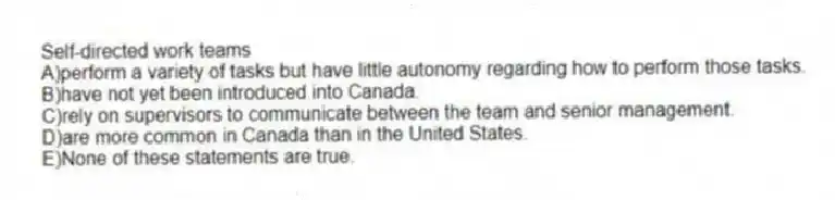 Self-directed work teams
A)perform a variety of tasks but have little autonomy regarding how to perform those tasks.
B)have not yet been introduced into Canada.
C)rely on supervisors to communicate between the team and senior management.
D)are more common in Canada than in the United States.
E)None of these statements are true.