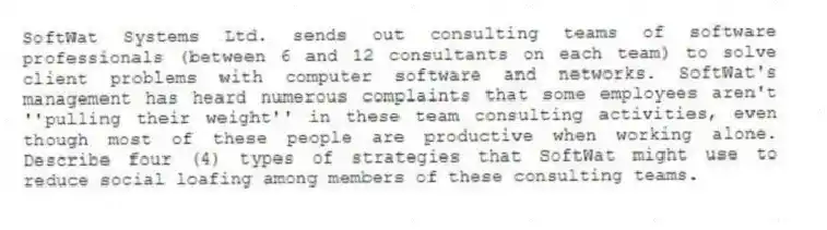 SoftWat Systems Ltd. sends out consulting teams of software professionals (between 6 and 12 consultants on each team) to solve client problems with computer software and networks. SoftWat's management has heard numerous complaints that some employees aren't ''pulling their weight'' in these team consulting activities, even though most of these people are productive when working alone. Describe four (4) types of strategies that SoftWat might use to reduce social loafing among members of these consulting teams.