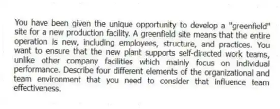 You have been given the unique opportunity to develop a ''greenfield'' site for a new production facility. A greenfield site means that the entire operation is new, including employees, structure, and practices. You want to ensure that the new plant supports self-directed work teams, unlike other company facilities which mainly focus on individual performance. Describe four different elements of the organizational and team environment that you need to consider that influence team effectiveness.