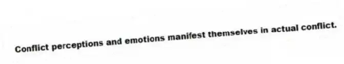 Conflict perceptions and emotions manifest themselves in actual conflict.