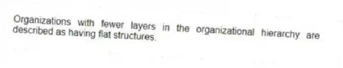 Organizations with fewer layers in the organizational hierarchy are described as having flat structures.