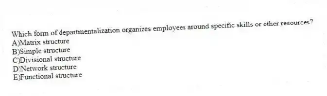 Which form of departmentalization organizes employees around specific skills or other resources?
A)Matrix structure
B)Simple structure
C)Divisional structure
D)Network structure
E)Functional structure