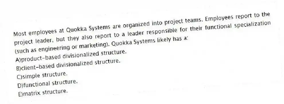 Most employees at Quokka Systems are organized into project teams. Employees report to the project leader, but they also report to a leader responsible for their functional specialization (such as engineering or marketing). Quokka Systems likely has a:
A)product-based divisionalized structure.
B)client-based divisionalized structure.
C)simple structure.
D)functional structure.
E)matrix structure.