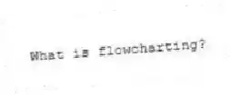 What is flowcharting?