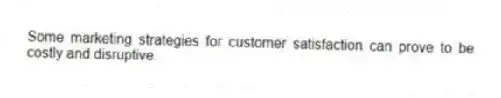 Some marketing strategies for customer satisfaction can prove to be costly and disruptive.