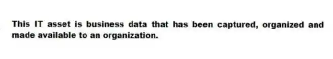 This IT asset is business data that has been captured, organized and made available to an organization.