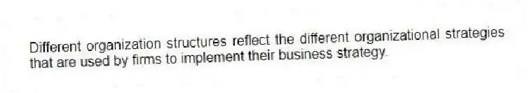 Different organization structures reflect the different organizational strategies that are used by firms to implement their business strategy.