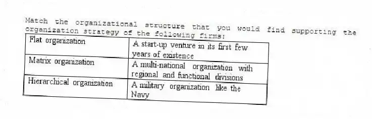 Match the organizational structure that you would find supporting the organization strategy of the following firms: