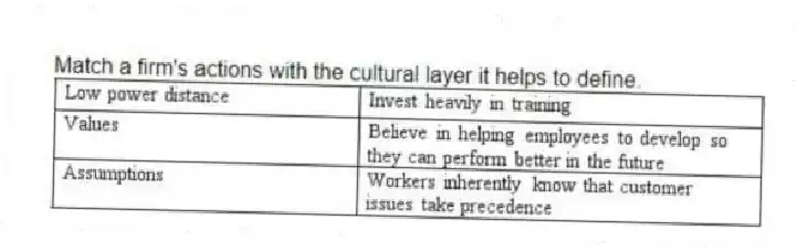 Match a firm's actions with the cultural layer it helps to define.