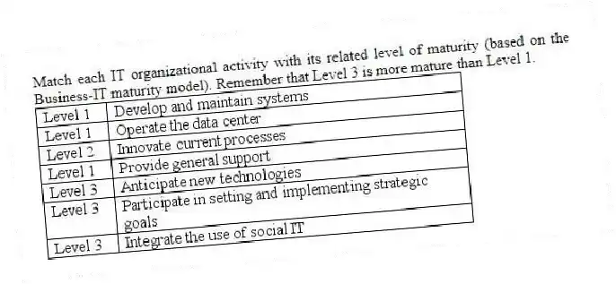 Match each IT organizational activity with its related level of maturity (based on the Business-IT maturity model). Remember that Level 3 is more mature than Level 1.