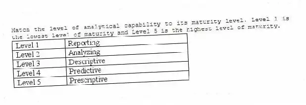 Match the level of analytical capability to its maturity level. Level 1 is the lowest level of maturity and Level 5 is the highest level of maturity.