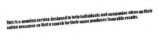 This is a growing service designed to help individuals and companies clean up their online presence so that a search for their name produces favorable results.