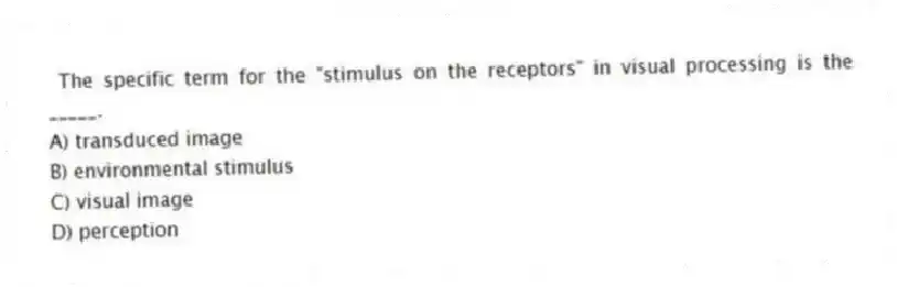 The specific term for the "stimulus on the receptors" in visual processing is the _____.
A) transduced image
B) environmental stimulus
C) visual image
D) perception