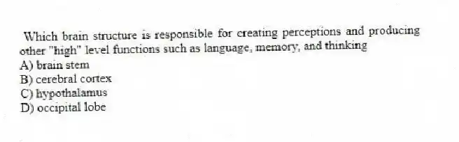 Which brain structure is responsible for creating perceptions and producing other "high" level functions such as language, memory, and thinking
A) brain stem
B) cerebral cortex
C) hypothalamus
D) occipital lobe