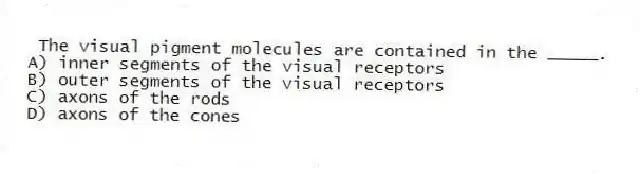 The visual pigment molecules are contained in the _____.
A) inner segments of the visual receptors
B) outer segments of the visual receptors
C) axons of the rods
D) axons of the cones
