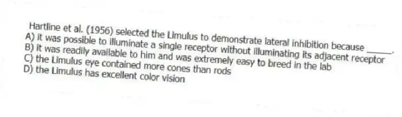 Hartline et al. (1956) selected the Limulus to demonstrate lateral inhibition because _____.
A) it was possible to illuminate a single receptor without illuminating its adjacent receptor
B) it was readily available to him and was extremely easy to breed in the lab
C) the Limulus eye contained more cones than rods
D) the Limulus has excellent color vision