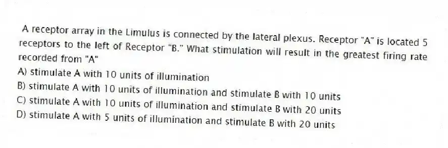 A receptor array in the Limulus is connected by the lateral plexus. Receptor "A" is located 5 receptors to the left of Receptor "B." What stimulation will result in the greatest firing rate recorded from "A"
A) stimulate A with 10 units of illumination
B) stimulate A with 10 units of illumination and stimulate B with 10 units
C) stimulate A with 10 units of illumination and stimulate B with 20 units
D) stimulate A with 5 units of illumination and stimulate B with 20 units