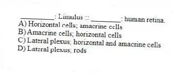 _________: Limulus :: ________: human retina.
A) Horizontal cells; amacrine cells
B) Amacrine cells; horizontal cells
C) Lateral plexus; horizontal and amacrine cells
D) Lateral plexus; rods