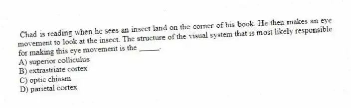 Chad is reading when he sees an insect land on the corner of his book. He then makes an eye movement to look at the insect. The structure of the visual system that is most likely responsible for making this eye movement is the _____.
A) superior colliculus
B) extrastriate cortex
C) optic chiasm
D) parietal cortex