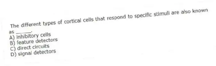 The different types of cortical cells that respond to specific stimuli are also known as _____.
A) inhibitory cells
B) feature detectors
C) direct circuits
D) signal detectors