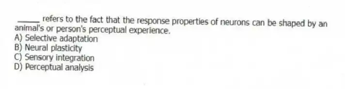 _____ refers to the fact that the response properties of neurons can be shaped by an animal's or person's perceptual experience.
A) Selective adaptation
B) Neural plasticity
C) Sensory integration
D) Perceptual analysis