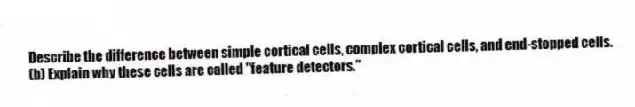 Describe the difference between simple cortical cells, complex cortical cells, and end-stopped cells.
(b) Explain why these cells are called "feature detectors."