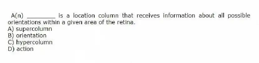  A(n) ________ is a location column that receives information about all possible orientations within a given area of the retina.
A) supercolumn
B) orientation
C) hypercolumn
D) action