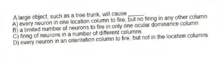 A large object, such as a tree trunk, will cause _____.
A) every neuron in one location column to fire, but no firing in any other column
B) a limited number of neurons to fire in only one ocular dominance column
C) firing of neurons in a number of different columns
D) every neuron in an orientation column to fire, but not in the location columns