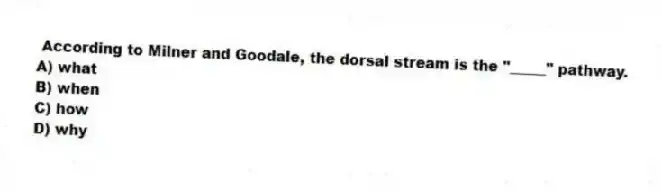 According to Milner and Goodale, the dorsal stream is the "_____" pathway.
A) what
B) when
C) how
D) why